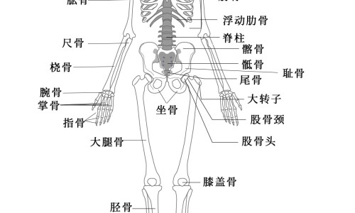 孕妇梦见西瓜子有大有黑-孕妇梦到黑瓜子网怀孕梦见吃黑皮瓜子是男孩女孩知识网站,分享孕妇梦到黑瓜子什么意思大全